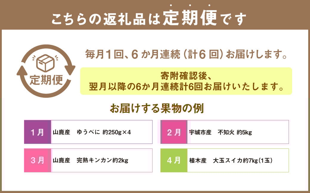 【6ヶ月定期便】熊本県フルーツ6ヶ月定期便