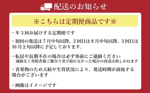 【年3回定期便】 熊本おすすめフルーツ定期便D（ぶどうセット・シャインマスカット・メロン） 【2026年7月上旬発送開始】 ぶどう ブドウ 巨峰 シャインマスカット マスカット メロン アースメロン フルーツ 果物 くだもの フルーツ 定期便 年3回 熊本県 熊本県産
