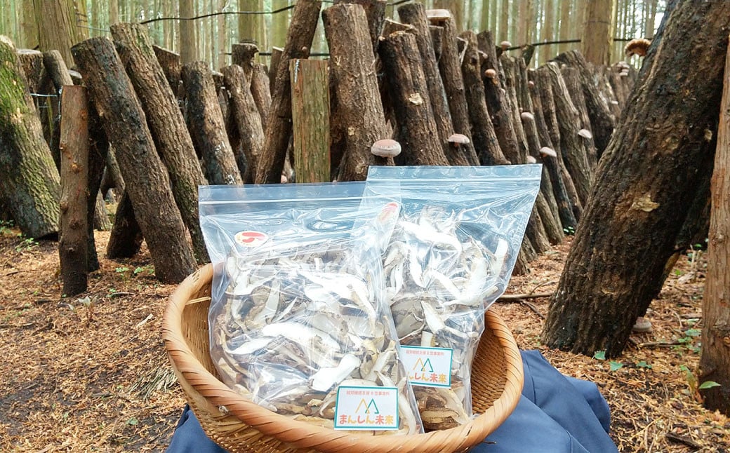 熊本菊池産 スライス乾燥 原木 シイタケ