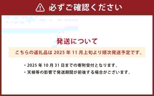 熊本県産太秋柿 約3kg 約8～10個 【2025年11月上旬発送開始】 くだもの 果物 フルーツ かき 柿