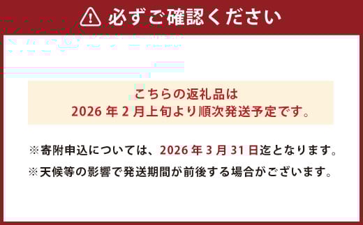 甘夏みかん 約10kg（1個あたり約300-350g、約25個～30個入り） 甘夏 柑橘 みかん 蜜柑【2026年2月上旬発送開始】