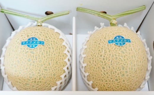 【生産者直送】☆秋作☆ マスクメロン 2玉 合計約3kg以上 【2026年10月上旬発送開始】 フルーツ くだもの 果物 メロン めろん 熊本県産