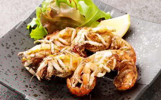 熊本県産冷凍マジャク 約600g 天然 マジャク 珍味 天ぷら 揚げ物 おつまみ 冷凍 熊本県産