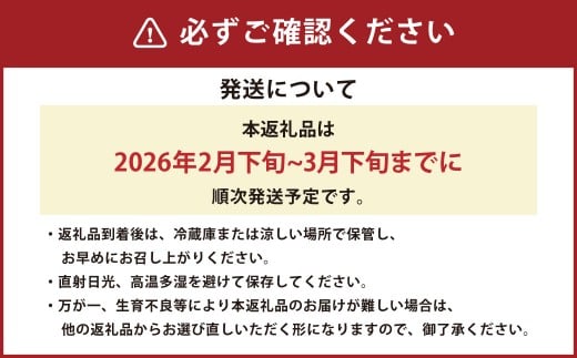 熊本県産デコポン 5kg（20-25玉）【2026年2月下旬発送開始】 熊本県産 国産 デコポン おやつ 果物 果実 フルーツ 5kg 20 25玉