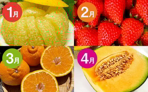 【12か月連続定期便】熊本の旬のフルーツお届け便 （Aコース） フルーツ 果物 くだもの 晩白柚 苺 デコポン みかん 柑橘 蜜柑 メロン すいか メロン シャインマスカット 葡萄 ぶどう 栗 太秋柿 柿 定期便