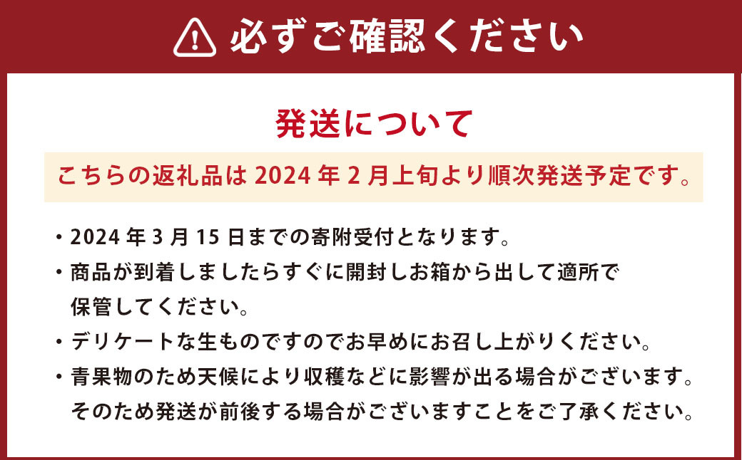 【2024年2月発送開始】熊本県産 ネーブルオレンジ 約5kg オレンジ 果物