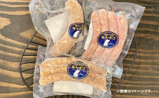 【 香心ポーク 】無添加 加工品 詰め合わせ （A5B2） 計7品 詰合せ セット 豚肉 ハム ウインナー ベーコン