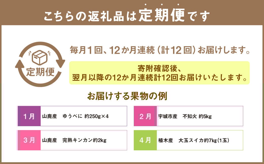 【12ヶ月定期便】熊本県フルーツ 12ヶ月定期便 ｜ フルーツ 果物 くだもの 苺 みかん 金柑 すいか メロン 梨 柿 旬 熊本県産