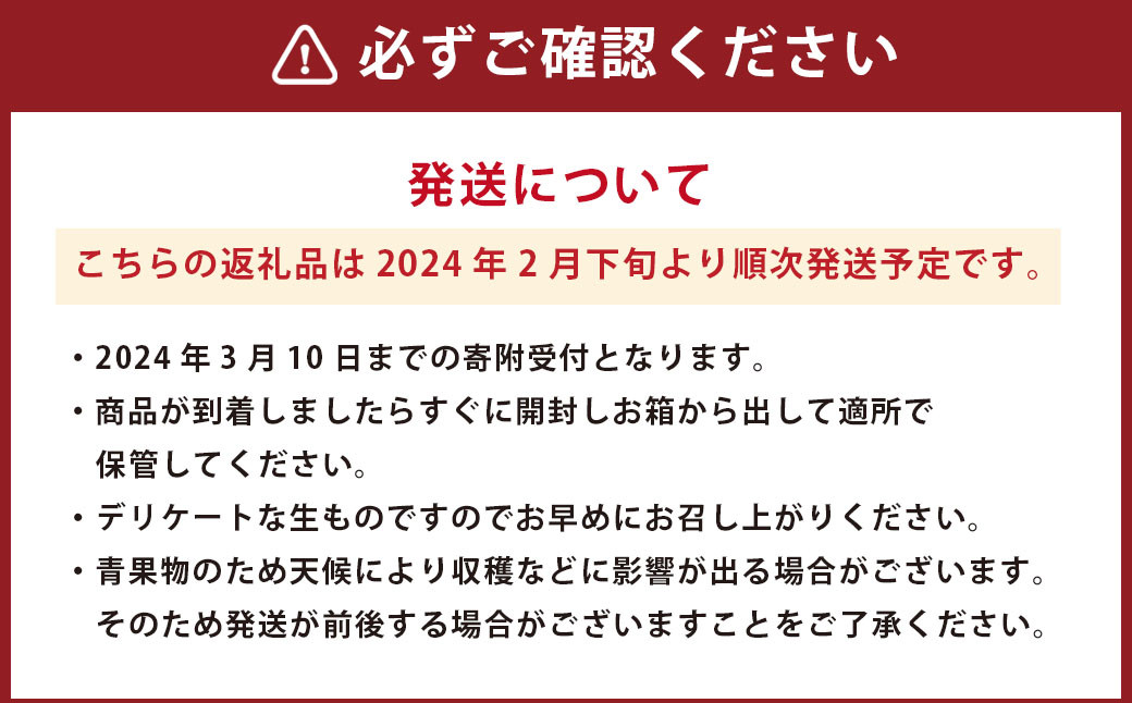 【2024年2月発送開始】熊本県産 不知火柑 約4.5kg しらぬい 果物 柑橘類