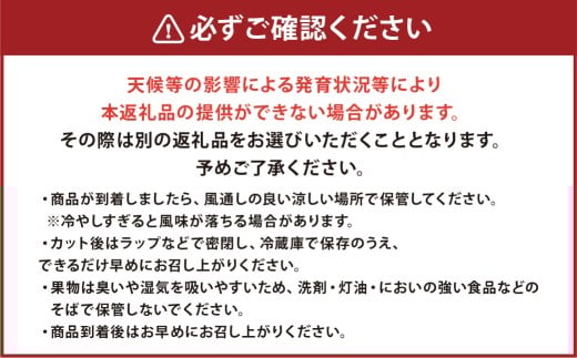 金色羅皇 1玉入り 3L以上 約8kg 【2026年5月上旬～2026年6月下旬発送予定】スイカ 甘いフルーツ 名産果物 果物 熊本県