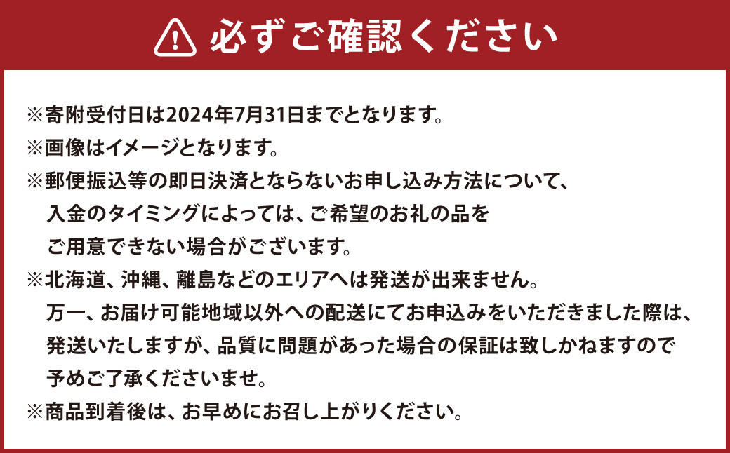 【2024年8月上旬発送開始】糖度18度以上を厳選してお届け！ 熊本県産 シャインマスカット 2房 約1.7kg以上 マスカット フルーツ 果物 くだもの