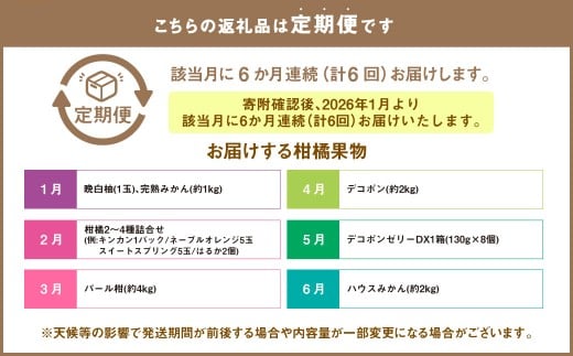 【2026年1月より6か月連続発送】熊本便り！旬の柑橘堪能定期便