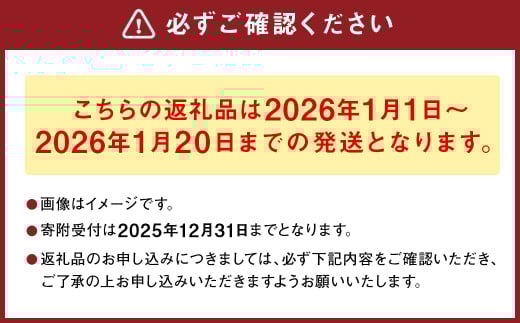 熊本県産晩白柚 2玉入り