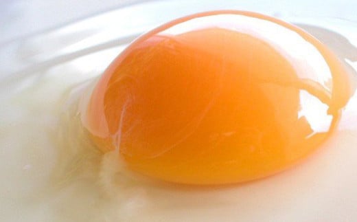 【年6回定期便】【奇数月お届け】 卵かけごはん専用 あさひ卵 L玉サイズ×30個 （25個+破損保障5個）×6回 たまご 卵 タマゴ 玉子 鶏卵 卵かけご飯 熊本県