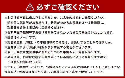 熊本県産アールスメロン1玉と立体スイカ1玉【2026年12月上旬発送開始】 熊本県産 アールスメロン 1玉 立体スイカ 1玉 国産 メロン スイカ フルーツ くだもの 果物 果実 果肉