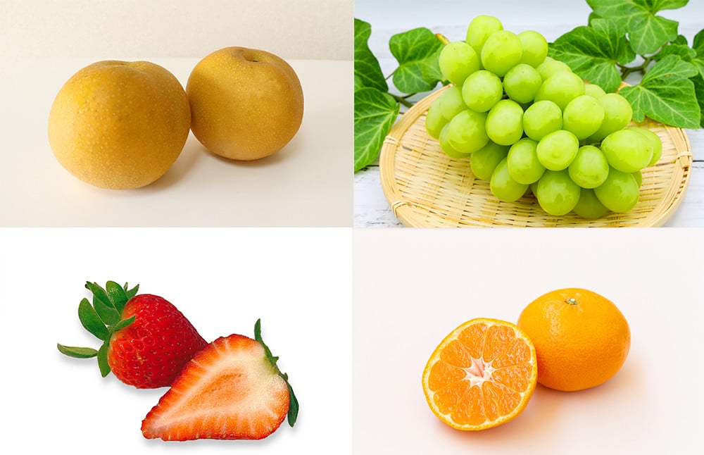 【年12回定期便】熊本県産フルーツ堪能定期便 ｜ 果物 くだもの フルーツ 定期便 旬 デコポン みかん メロン すいか いちご 梨 柿 シャインマスカット 特産品 熊本県