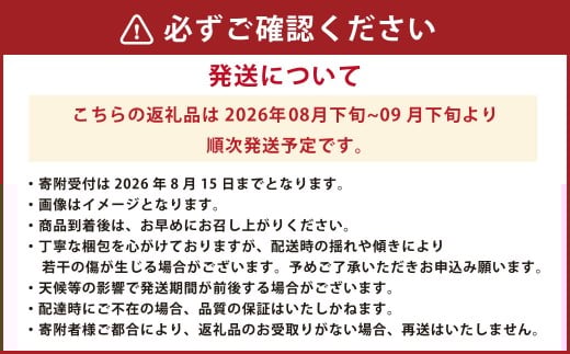 シャインマスカット1房 約600g 果物 くだもの フルーツ 熊本県産【2026年8月下旬発送開始】