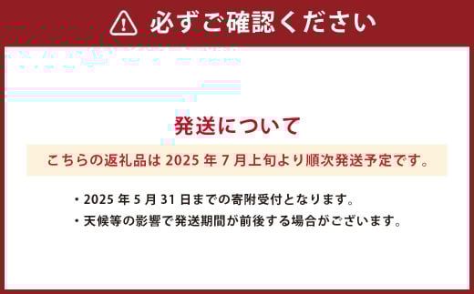 熊本県産 シャインマスカット 4房 【2025年7月上旬発送開始】 フルーツ 果物 くだもの マスカット