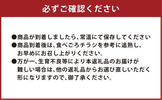 赤玉レノンスター 1玉・アンデスメロン1玉【2026年5月下旬発送開始】 メロン フルーツ くだもの 果物 熊本県産 国産