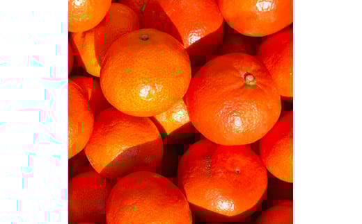 熊本県産みはや 約5キロ 果物 柑橘類