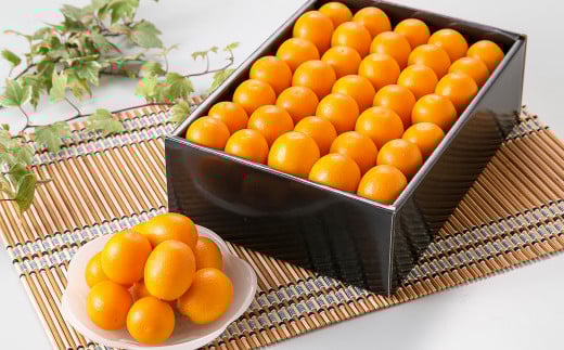熊本県産 完熟ハウスキンカン約1.5kg