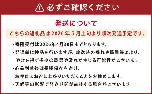 蘇鉄嶋 （ 桃太郎トマト ） 約1kg とまと トマト やさい 野菜 国産 【2026年5月上旬発送開始】