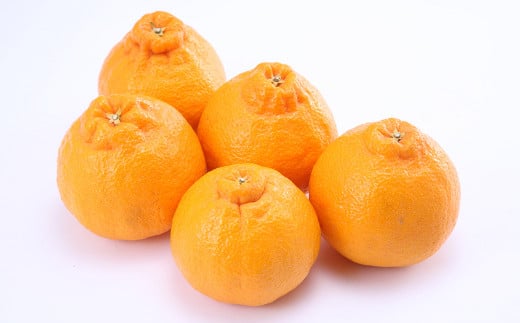 デコポン および 熊本県産 季節の柑橘 約3kg 約10～11玉 清見 柑橘 みかん 蜜柑 フルーツ くだもの 果物 【2026年3月下旬発送開始】