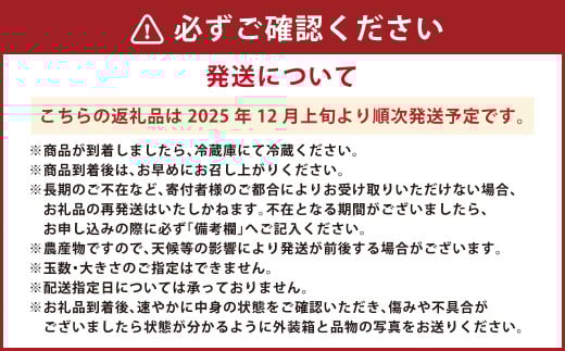 絢音ベリー農園 "絢" いちご 500g （250g×2P）先行予約【2025年12月上旬発送開始】 ゆうべに 高級 フルーツ ギフト 厳選 希少
