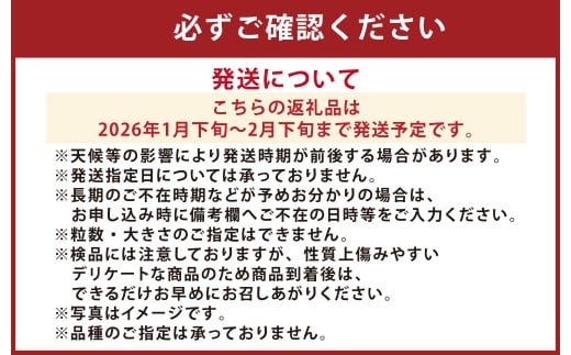『まるで果物の王様！贅沢メロン』 2玉セット 1箱 熊本県産 【2026年1月下旬発送開始】フルーツ くだもの 果物 メロン 果実 果肉 おやつ 国産