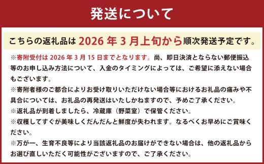 【2026年3月上旬発送開始】熊本県宇城市不知火町の海沿いの段々畑で作った「オレンジ（のむちゃん1号） 」約3kg（12-18玉） フルーツ 果物 みかん 九州 熊本産 蜜柑
