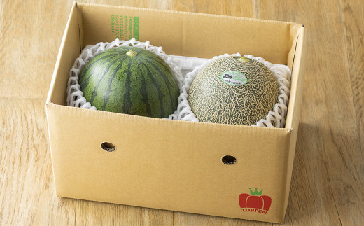 熊本県産 小玉すいか 1玉（1.5kg以上）と 肥後グリーンメロン 1玉（1.6kg以上） 果物 くだもの フルーツ スイカ メロン 【2026年6月上旬発送開始】