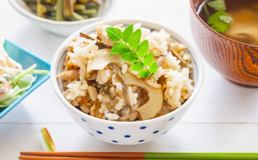 【生産者直送】春の恵み たけのこ 約4kg 以上 （2~5本） 【2026年4月上旬発送開始】 やさい 野菜 竹の子 筍 タケノコ 熊本県産