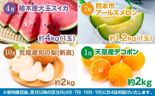 【 年 4回 定期便 】 熊本県 人気 フルーツ 4回 定期便 4月 ・ 7月 ・ 10月 ・ 1月 果物 くだもの 旬 大玉 スイカ すいか 西瓜 メロン めろん アールス メロン 梨 ナシ 新高 でこぽん デコポン 柑橘