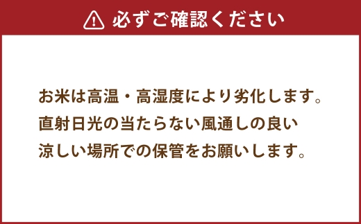 【 令和7年度産 】 熊本県産塩栽培米くまさんの輝き 5kg 国産 熊本県産 お米 米 コメ ご飯 白米 くまさんの輝き 塩栽培米 塩栽培 【 2025年12月上旬発送開始 】