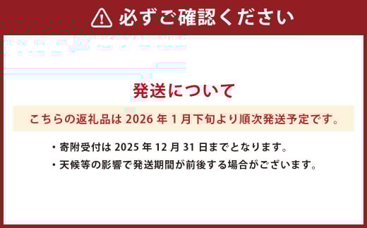 熊本県産 デコポン （ハウス） 約3kg ミカン みかん 蜜柑 果物 くだもの フルーツ 【2026年1月下旬発送開始】