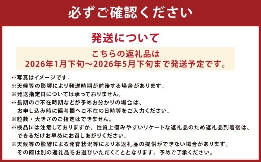 Vegettimoトマトセット 大玉トマト1kg＋特選ミニトマト2kg（熊本県産） 【2026年1月下旬発送開始】 甘い 野菜 爽やか 濃厚 真っ赤 フルーツトマト とまと 国産 常温