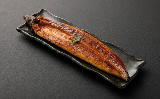 海水育ちの天草藍うなぎ 蒲焼き1尾セット【合計約200g】鰻 ウナギ うなぎ うなぎ蒲焼 鰻の蒲焼 うなぎ 国産