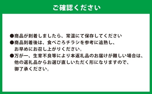 肥後グリーンメロン 1玉【2026年5月下旬発送開始】 メロン フルーツ くだもの 果物 熊本県産 国産