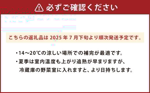 やっちろバナナ（汐バナナ）20本セット 【2025年7月下旬発送開始】
