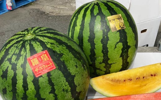 熊本県産スイカ ラオウザスイート＆金色羅皇 2玉 果物 フルーツ 西瓜 すいか スイカ 大玉 大玉スイカ 大玉すいか 常温 熊本県産 【2026年5月上旬発送開始】