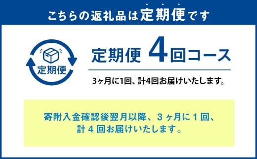 【年4回定期便】ミディ 胡蝶蘭 3本立ち 花 お花 植物 蘭 洋蘭 ラン インテリア アレンジ アレンジメント 鑑賞 観賞用 贈答用
