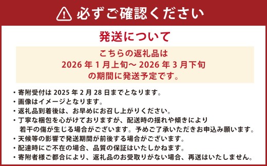吉次いちご 約700g (24~33粒) 【2026年1月上旬発送開始】 いちご イチゴ ストロベリー 苺 果物 くだもの 果実 フルーツ 旬 冷蔵 九州 熊本県