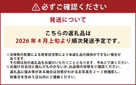 【年3回定期便】アールスメロン 2玉入り（化粧箱入り）×3回 【2026年4月上旬発送開始】 メロン 果物 くだもの フルーツ 果実 果汁 デザート 定期便 年3回 熊本県 熊本県産