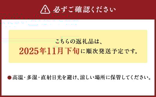 熊本県産 生にんにく 1kg 【2025年11月下旬発送開始】 にんにく ニンニク 生ニンニク 野菜 やさい 熊本県 常温