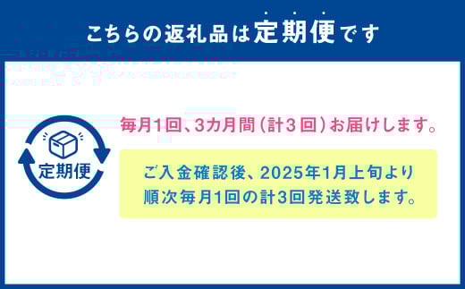 【年3回定期便】朝摘み当日発送！熊本県産いちご（ゆうべに）約1500g（約500g×3回）【2026年1月上旬発送開始】