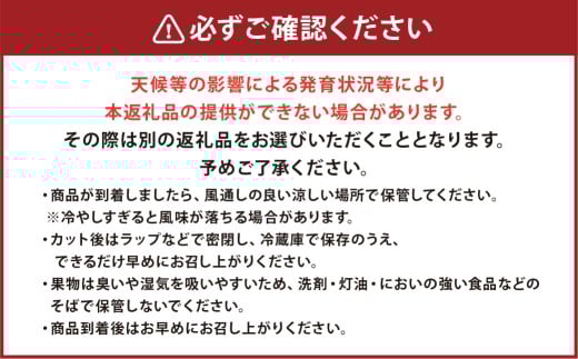 熊本市産 肥後グリーンメロン2玉４L以上 約4kg 【2026年4月下旬～2026年７月下旬発送予定】メロン 青肉 甘いフルーツ プレゼント 贈答 贈り物 果物 熊本県