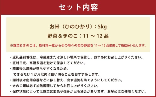 【令和7年度産】 熊本県（七城）産のお米と熊本県産の野菜ときのこ お米（5kg）・野菜＆きのこ（11～12品） 精米 単一原料米 ひのひかり ジャガイモ ニンジン シイタケ 【2025年11月上旬発送開始】