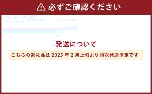 熊本県産いちご 恋みのり2キロ（8パック） 【2026年2月上旬発送開始】