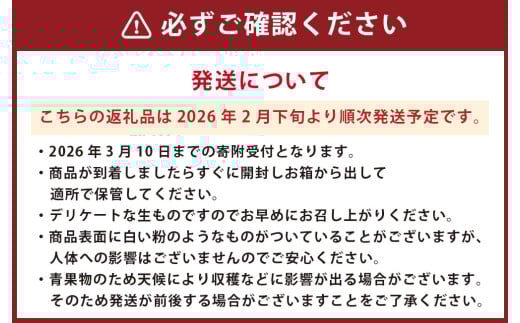熊本県産 ブラッドオレンジ 約5kg オレンジ 果物 みかん 蜜柑 柑橘 【2026年2月下旬発送開始】
