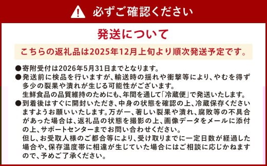 ソムリエ ミニトマト ダイヤ 3kg とまと トマト 野菜 やさい 熊本県産 国産 【2025年12月上旬発送開始】